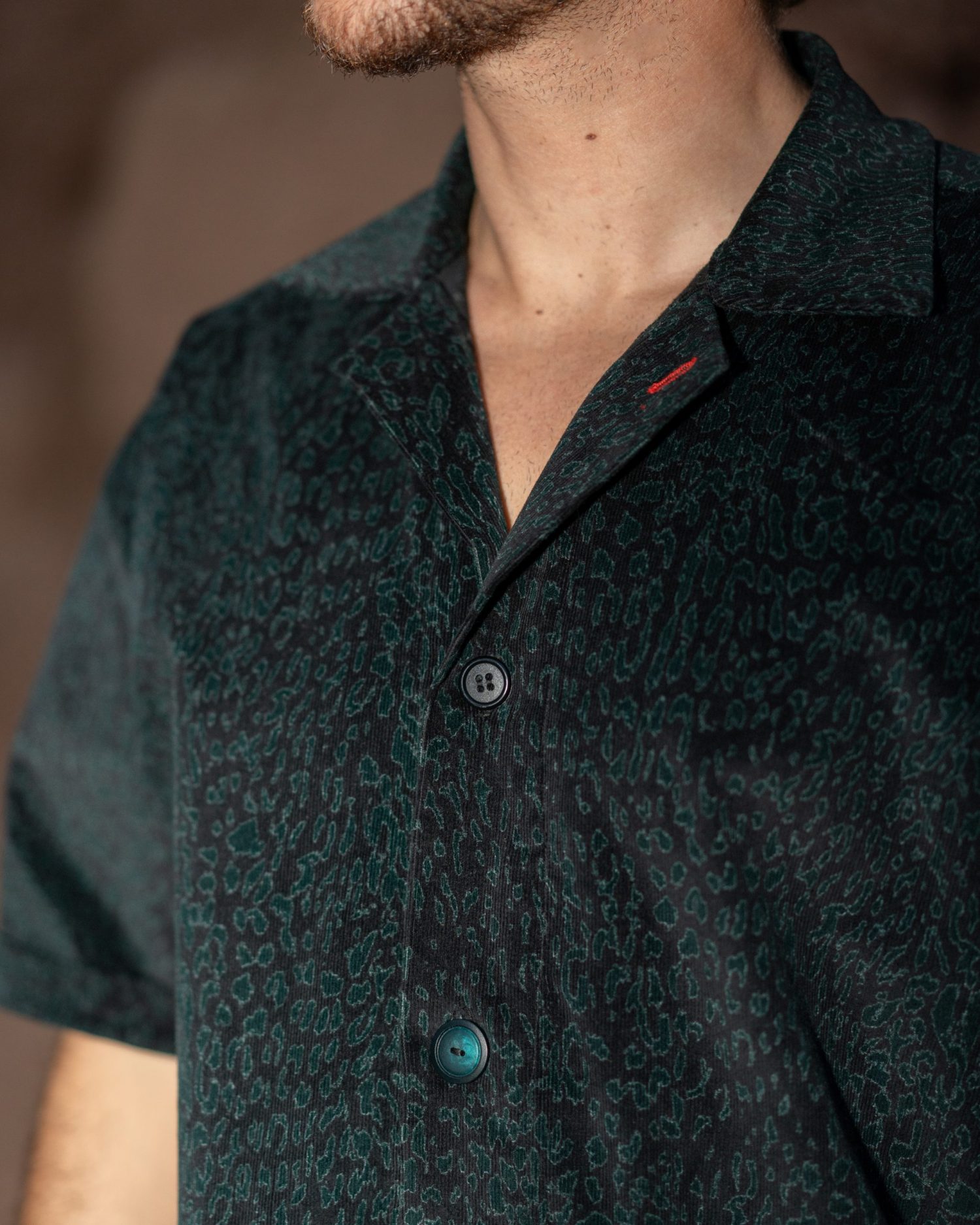 VELVET NOCTURNE – Image 4